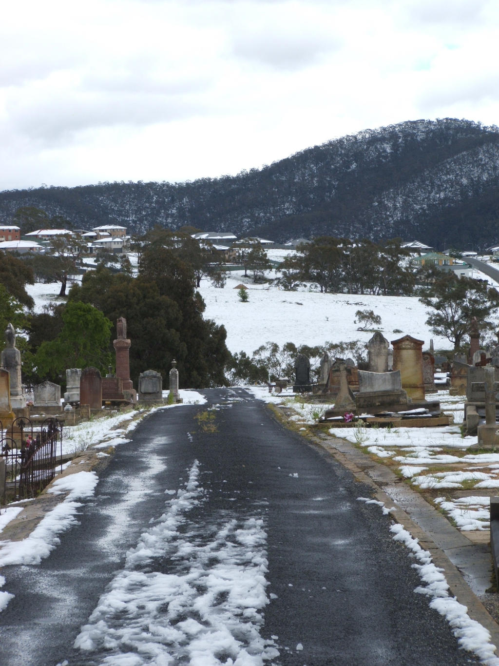 Snow in Lithgow 2014 #74