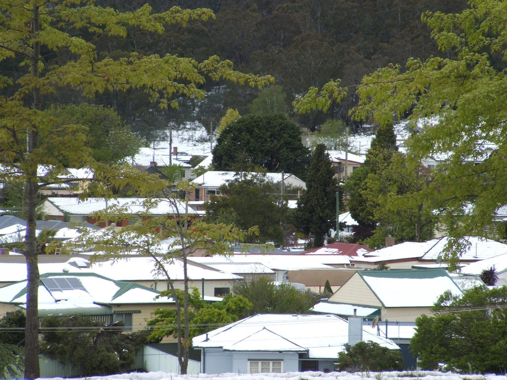 Snow in Lithgow 2014 #77