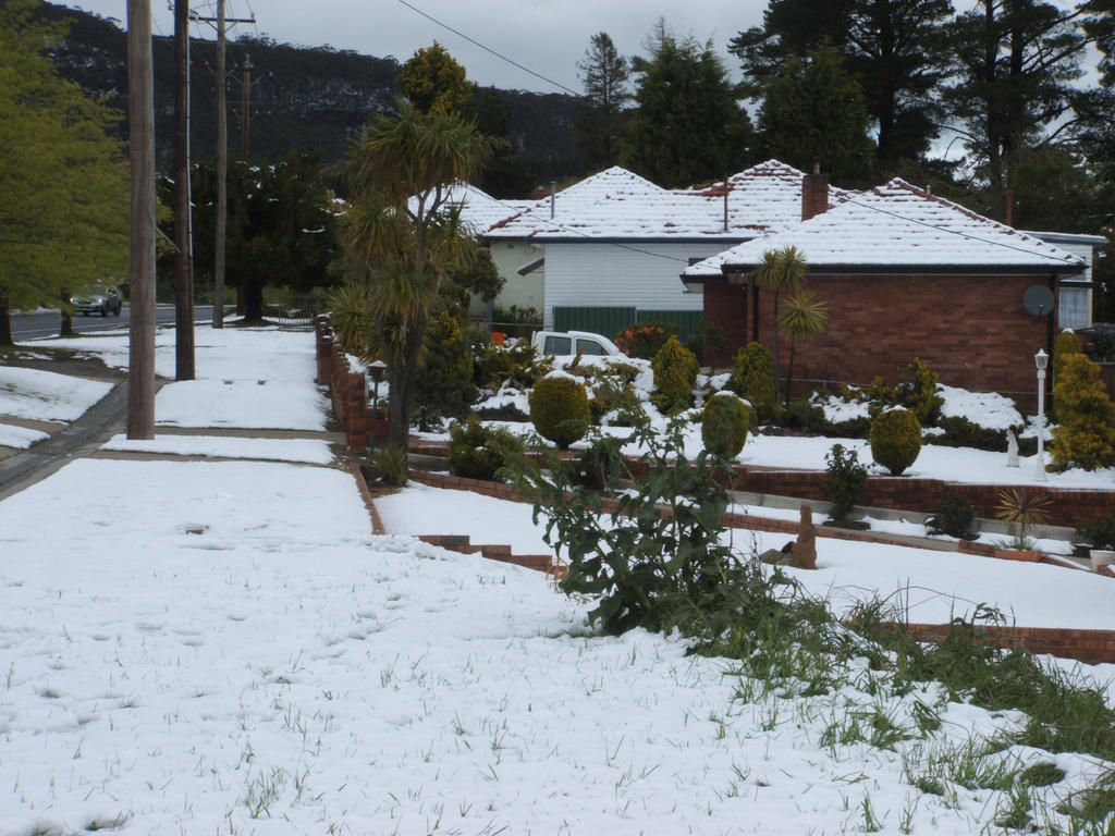 Snow in Lithgow 2014 #79