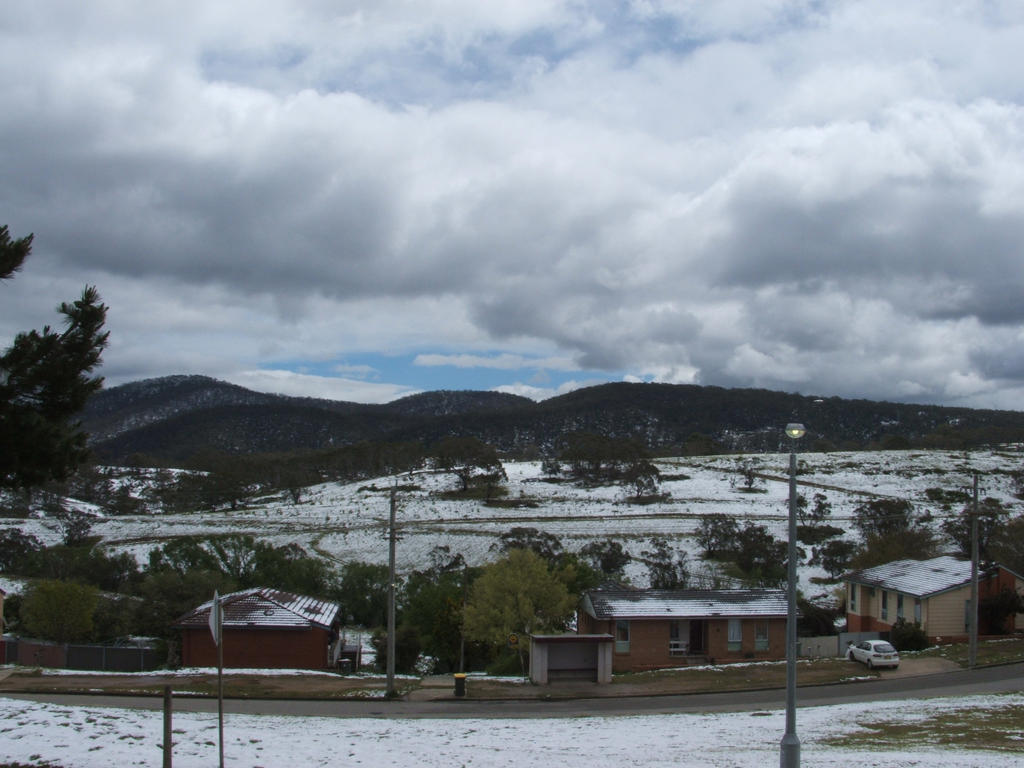 Snow in Lithgow 2014 #81