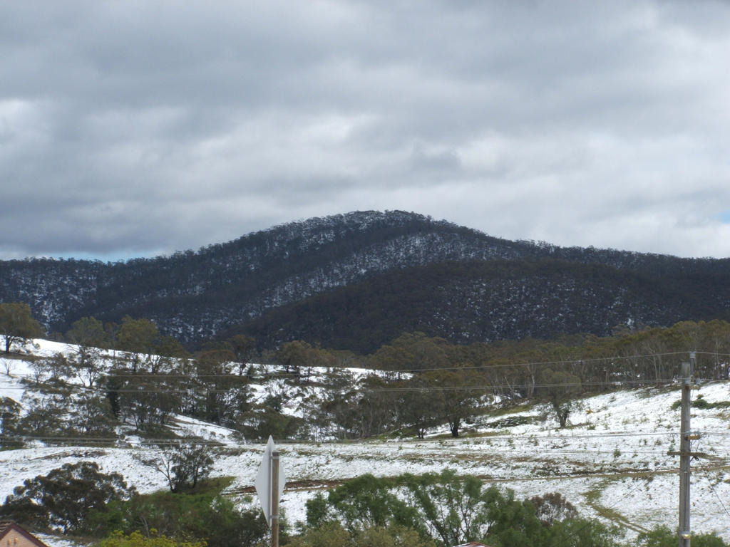 Snow in Lithgow 2014 #87