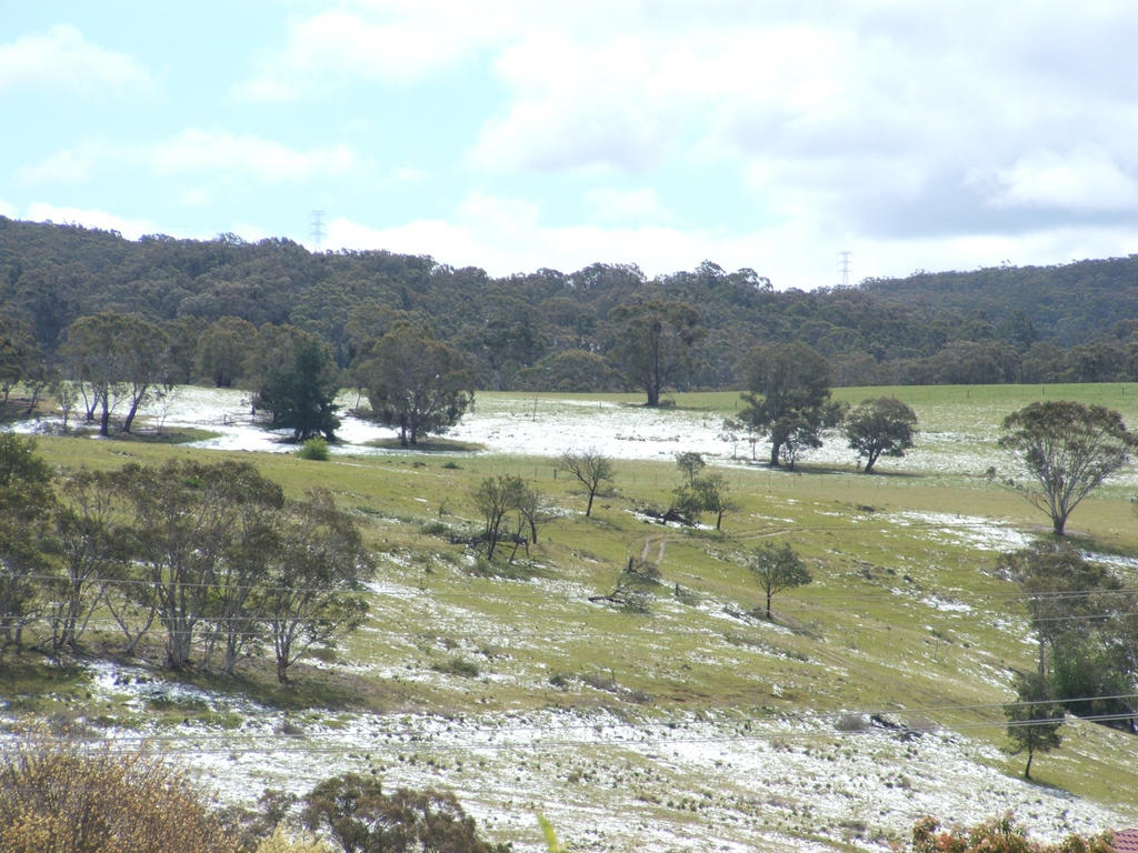 Snow in Lithgow 2014 #89