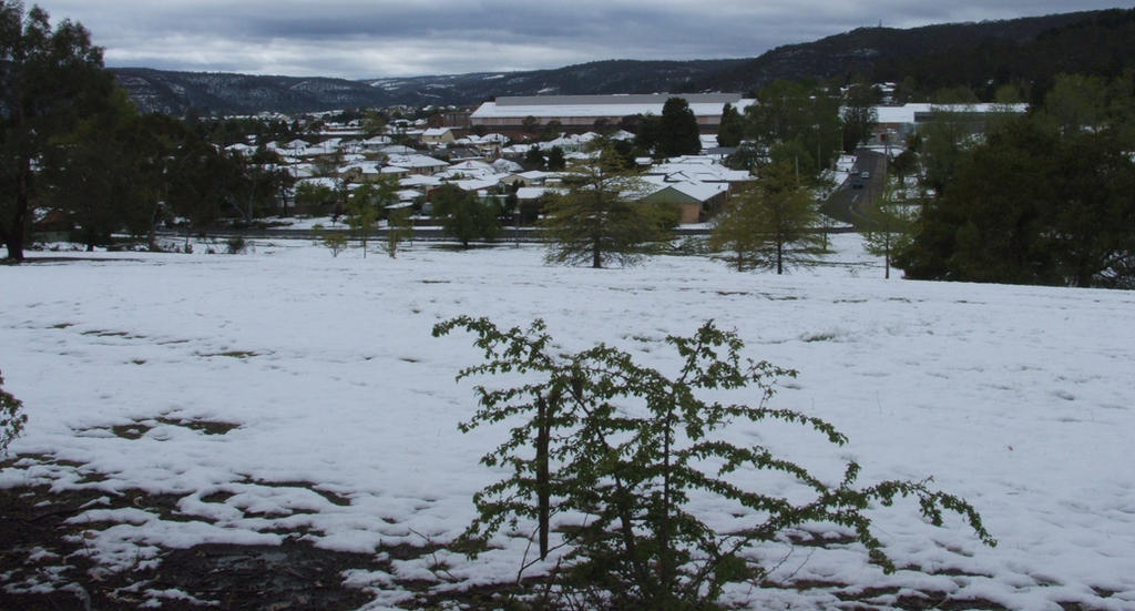 Snow in Lithgow 2014 #101