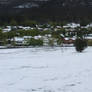 Snow in Lithgow 2014 #102