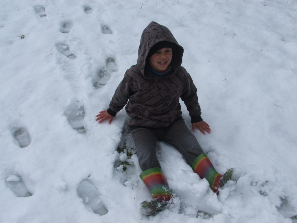 Snow in Lithgow 2014 #106