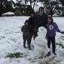 Snow in Lithgow 2014 #115