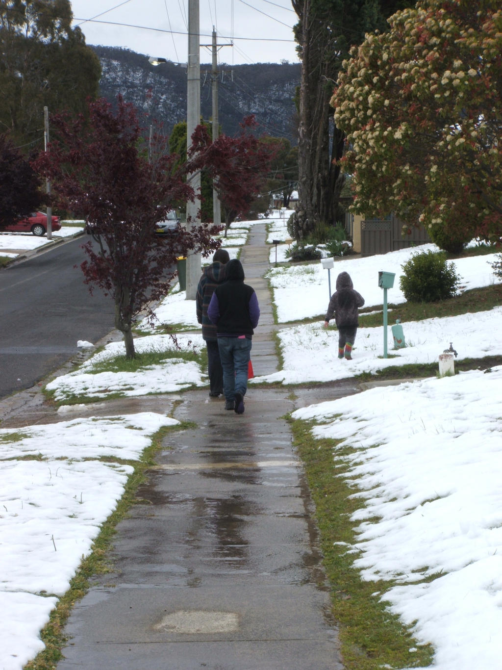 Snow in Lithgow 2014 #119