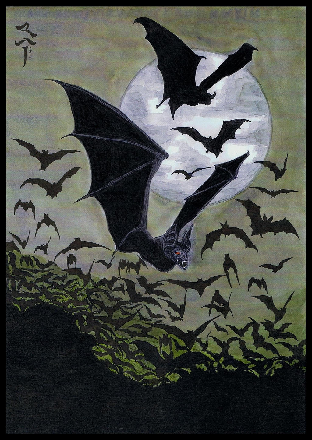 The Bats of Night - 2015