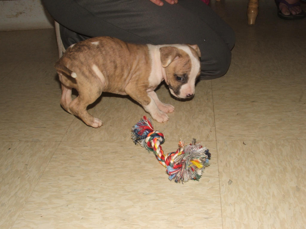 Sayuri at 6 weeks (4)