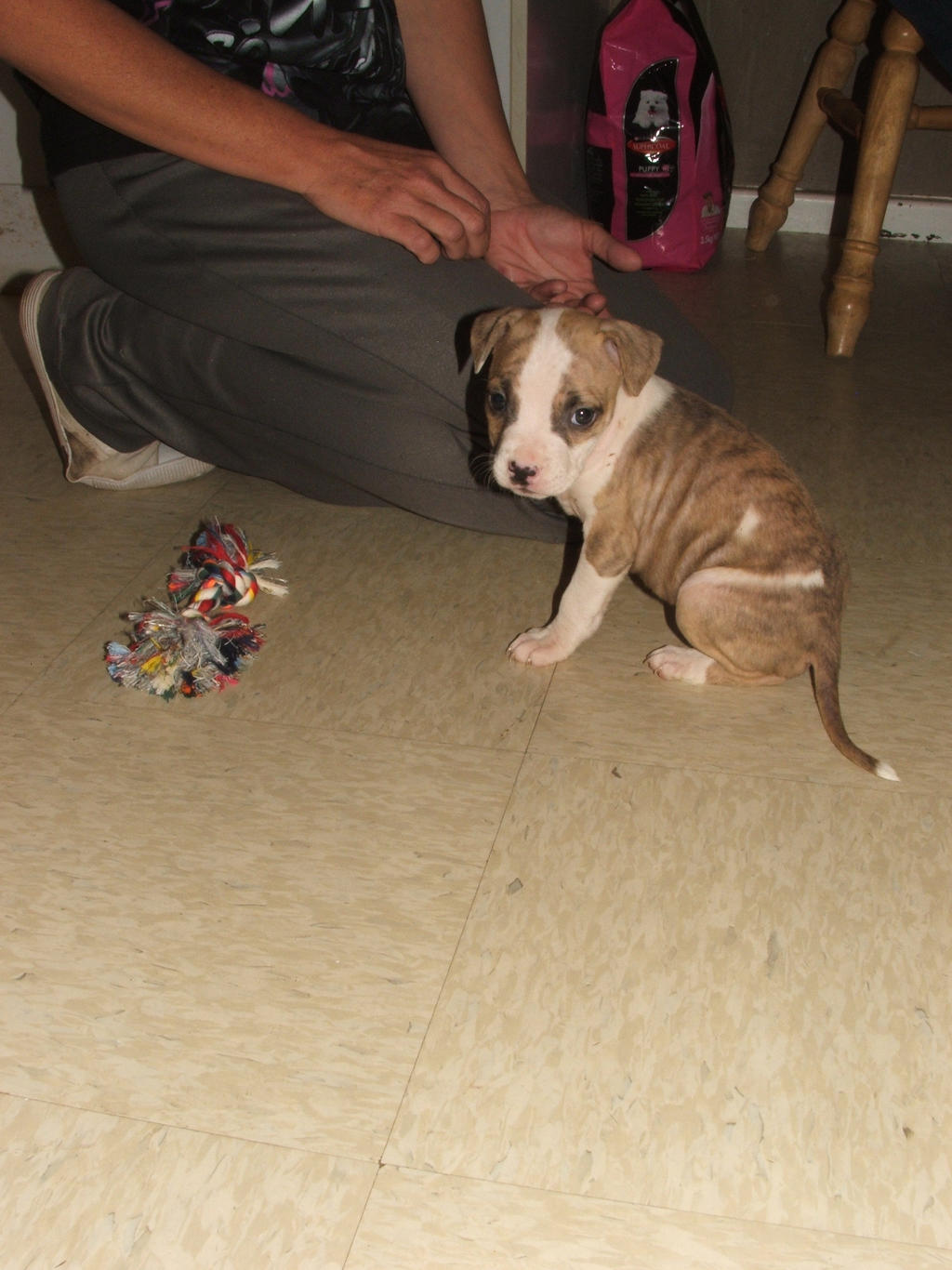 Sayuri at 6 weeks (3)