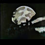 'The Keepers' ~ 'Roads Travelled' #14