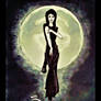 'The Vamp' ~ 'Into The Moonlight'