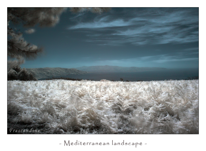 Mediterranean landscape