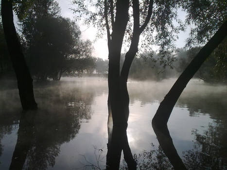 Fog on lake