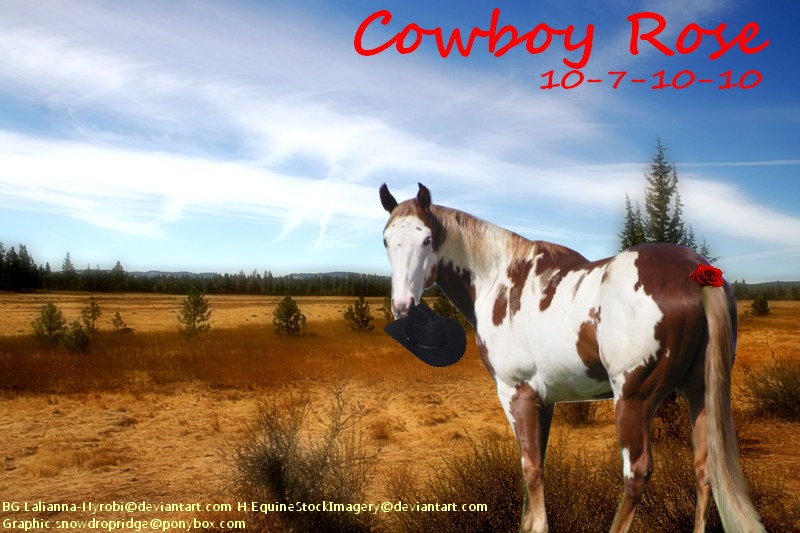 Cowboy Rose