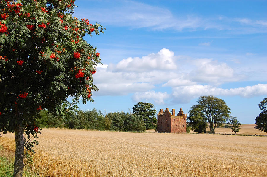 Wester Braikie Castle.