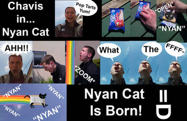 Chavis in Nyan Cat