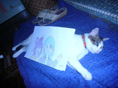 MAH CAT HOLD THE ART XD