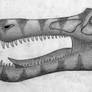 Baryonyx walkeri