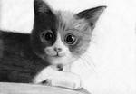 Kitty by PhotonLights