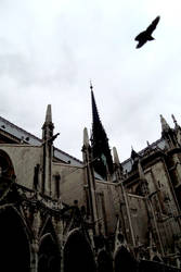 Notre Dame