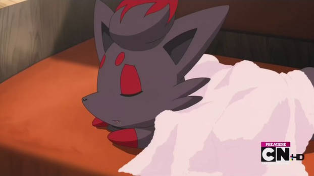 Zorua