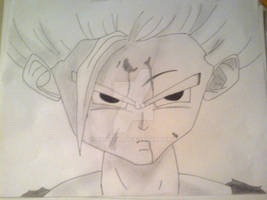 Gohan