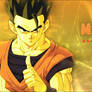 Gohan v1