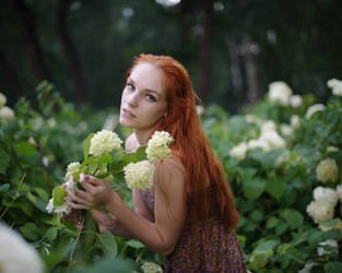 Evgenia