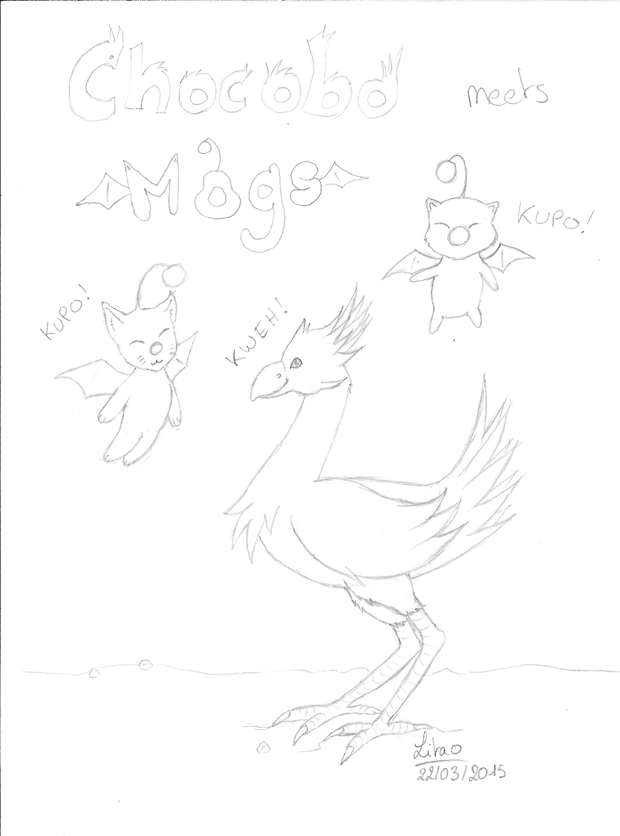 Chocobo meets with Mogs