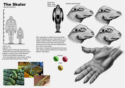 Andra: Skalor Species detail