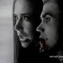 Stefan..Elena