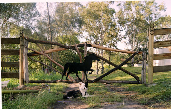 Horse Farm Gate