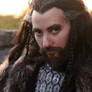 Morning Oakenshield