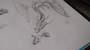 Dragon Studies Part 4 - Fishing!