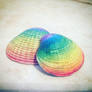 Hand painted rainbow seashells