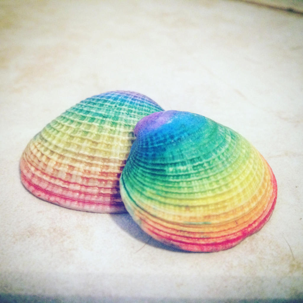 Cute Shell Rainbow Hand painted rainbow seashells by 22moths on DeviantArt