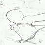 gestural bird drawing