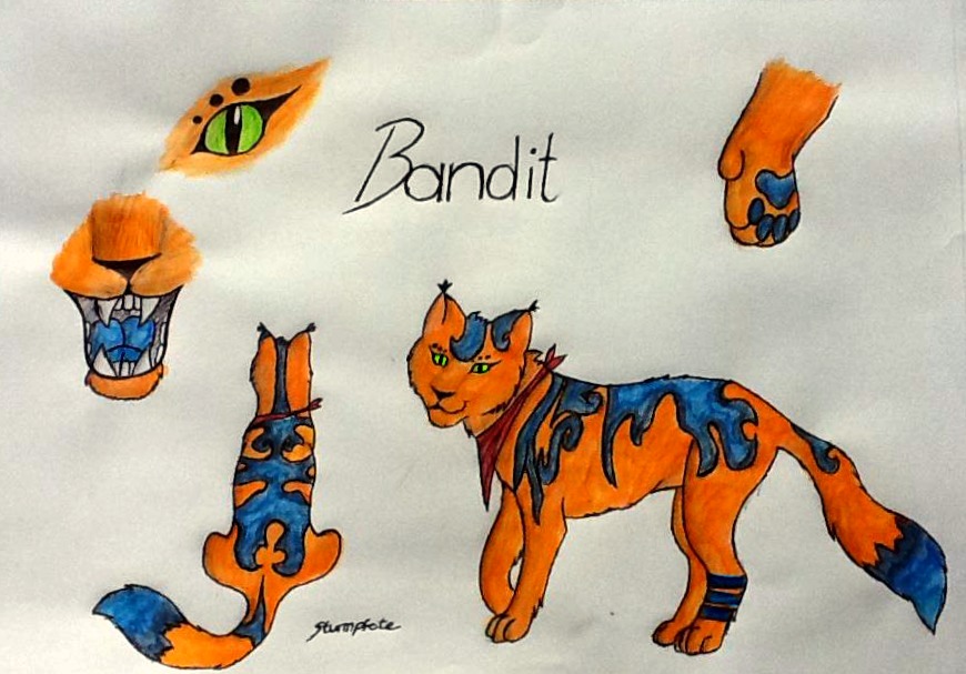 New Chara sheet: My Fursona Bandit