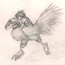 Chocobo Riding