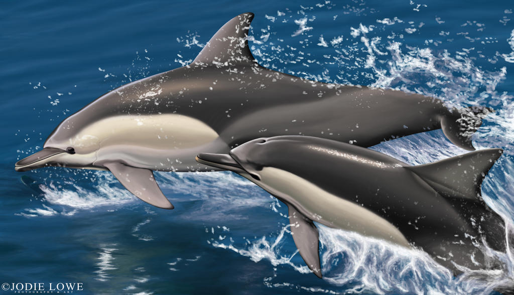 Leaping Common Dolphins