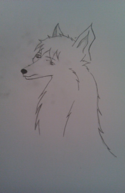 wolf