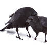 Two Crows 2