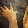 Hand Eye Coordination