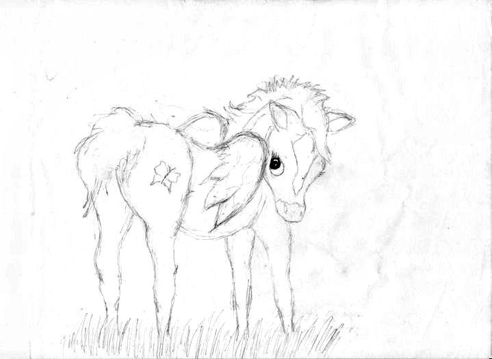 filly by kennalove on DeviantArt