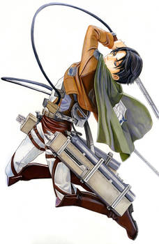 Levi my fav figure