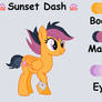 DTA Sunset Dash