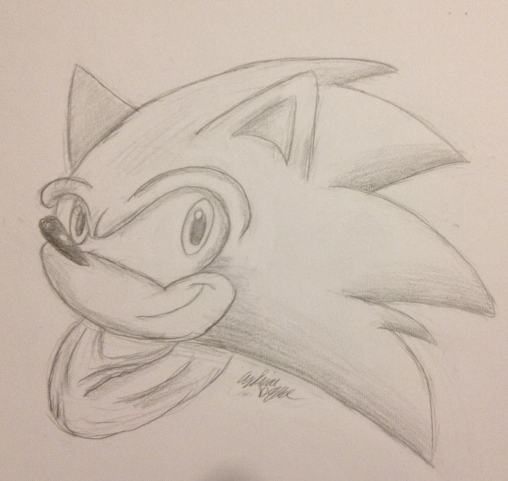 Sonic Icon grayscale