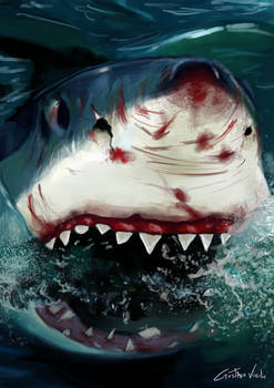 Shark attack - Speed painting