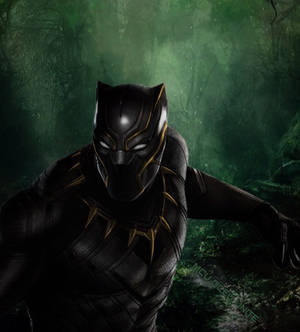 Black panther gold 